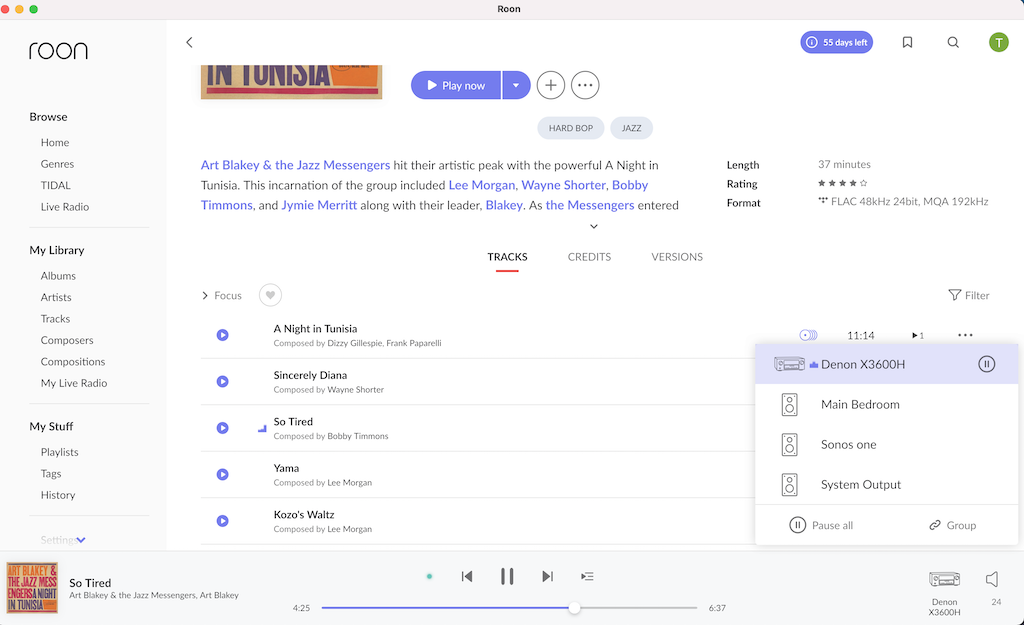 Roon screenshot 3